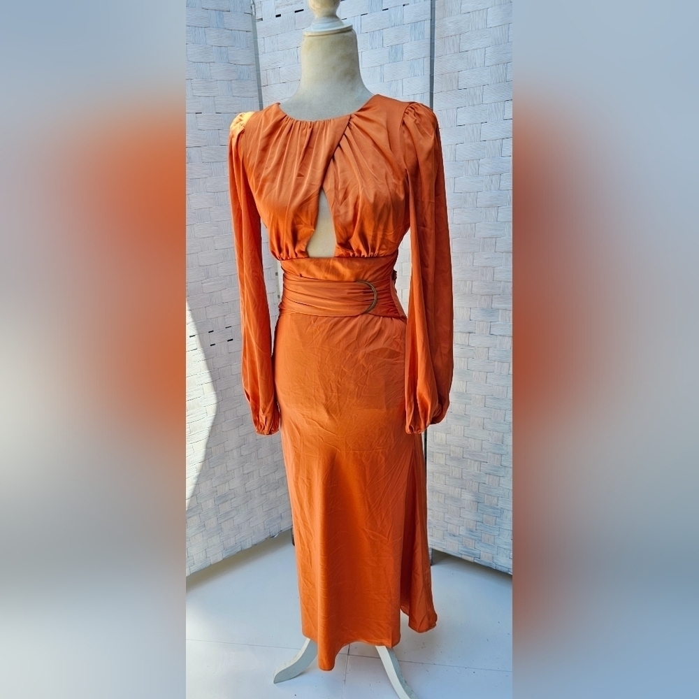 PETAL AND PUP MIDI DRESS - Picture 10 of 12